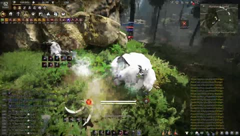 high intense sorc chase pog champion