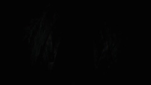 AAAAAAAA
