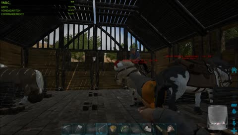 The Head Is Not A Warning Shot