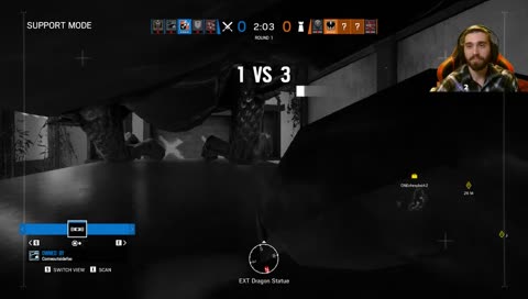 The birds and the bees