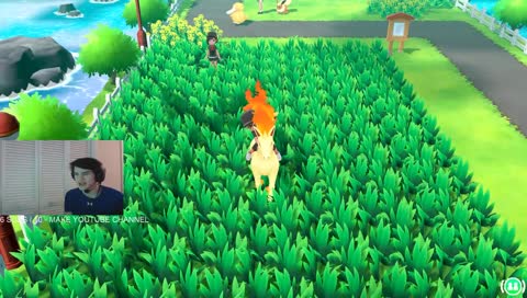 ITS A SHINY PONYTA!!