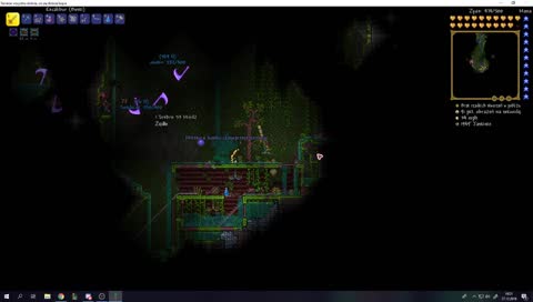 Bez kitu niezła mrówka xD