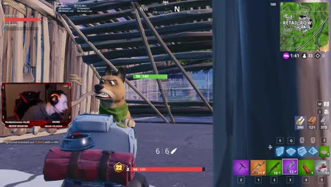 Tumi pahoinpitelee kissaa