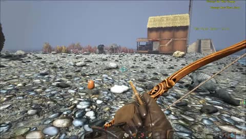 Attention, poulet vénère!