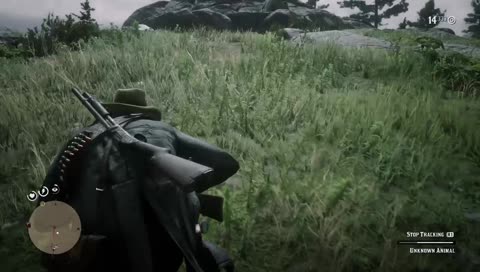 Surprise!!