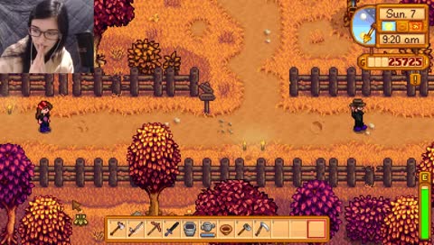 Nicole.exe has stopped working.
