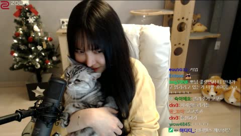 The most illiest cat EVER.