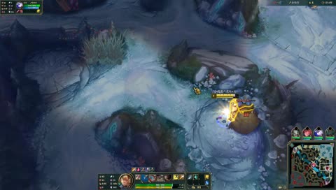 ダイナマアニーフェラ