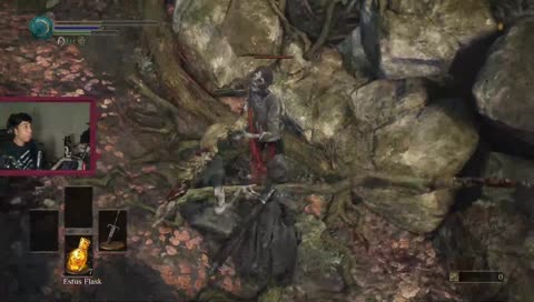beginner dark souls experience