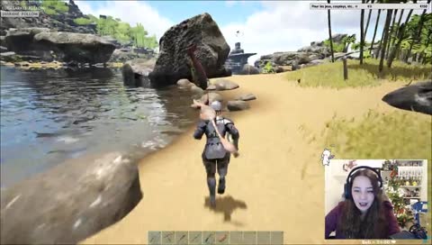 requin tete dans le sable