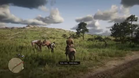 P vtazo del caballo :v