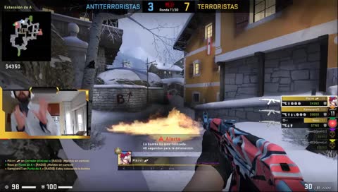 Escondete ahi que es buen sitio !