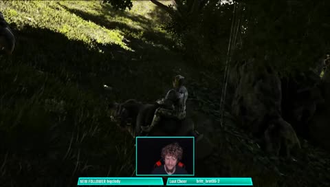 LOOK AT THEM LITTLE PIGGIES GO!