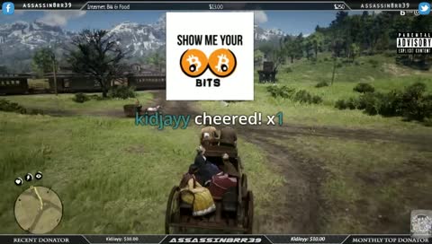 poor horse