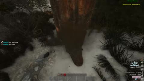 chance has walmart wifi