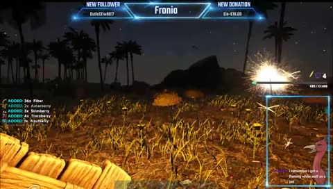 ark family, did I say that out loud?