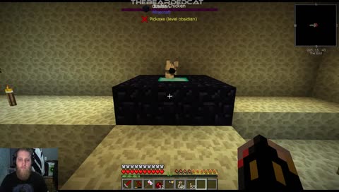 Ender Chickens are evil!