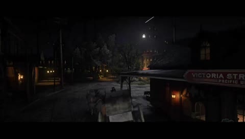 Normal carriage behavior