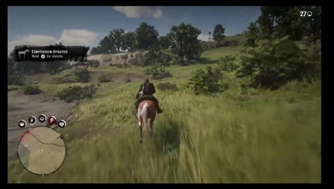 A wild sequence of events