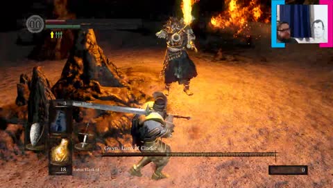 Dark Souls in a Nutshell