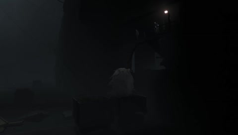 Rabbits laugh (Super CUTE!)