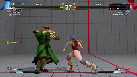 BISON!