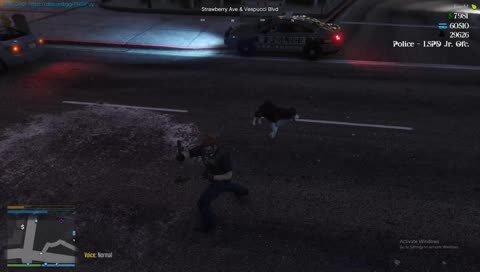 don't try and hit dogs, fool!!