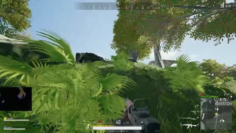 Squad wipe
