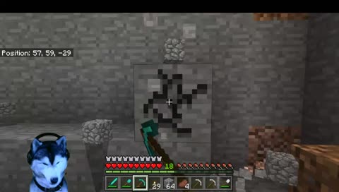 doggo loves pumpkin pie