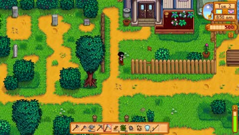 Mayor's Secret