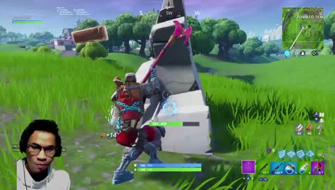llama