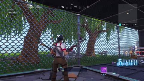 Hitqirl reagiert auf Heiratsantrag