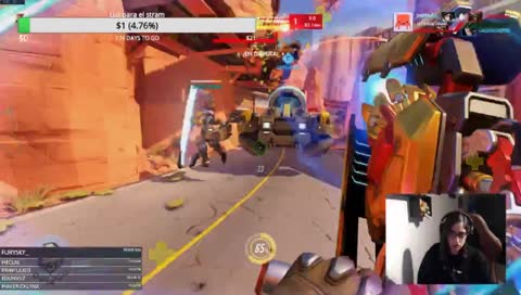 MISTERIO RESULTO DE LAS GALLINAS CON GORRO ALV