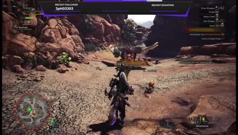cactus 1, pukei pukei 0