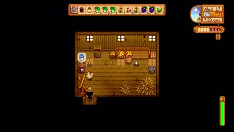 Salty just laid her first chicken?!!