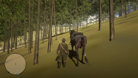 las bolas del caballo