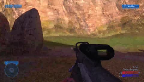Nice Snipe