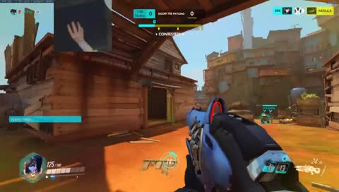 Insane widow bug