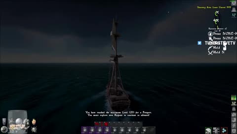 Dolphins