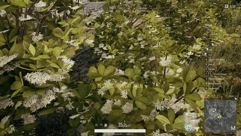 afk destroyers