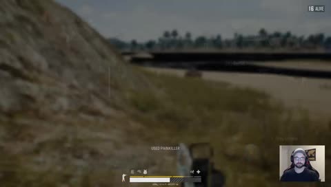 deer in the headlights