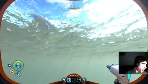 sub flies