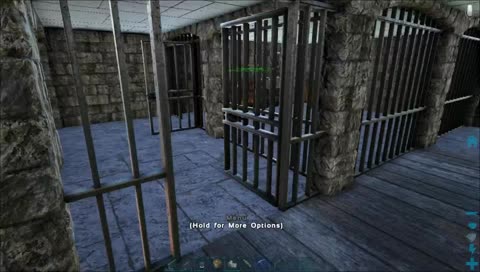 The Reason We Disarm Prisoners