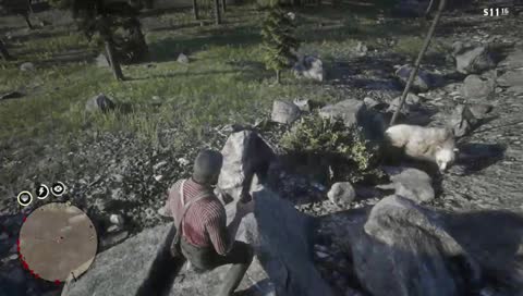 Never Poke The Bear.