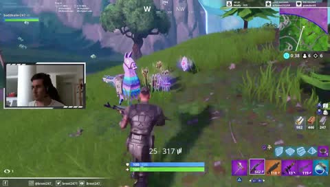 The 2 llama hype