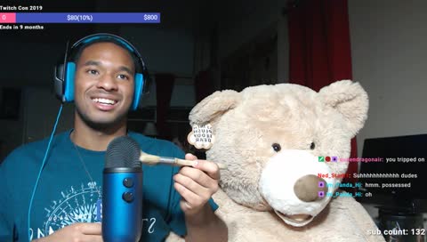 when you raid an ASMR strim