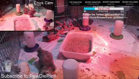 dabbing on the haters he say