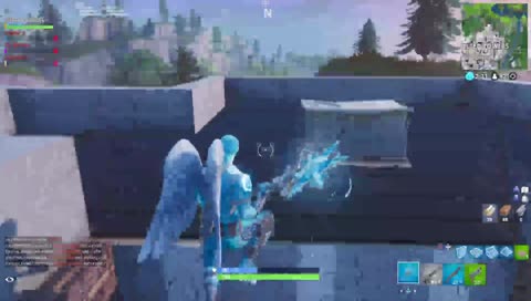 “THE WINGS WORK”