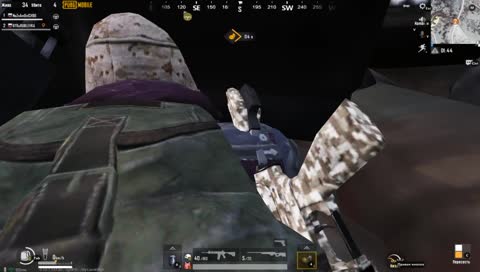 фиговый водитель