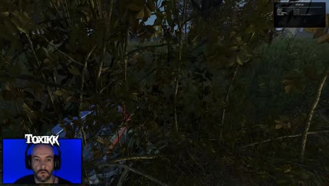 Revenge for Apolo - DayZ 1.0